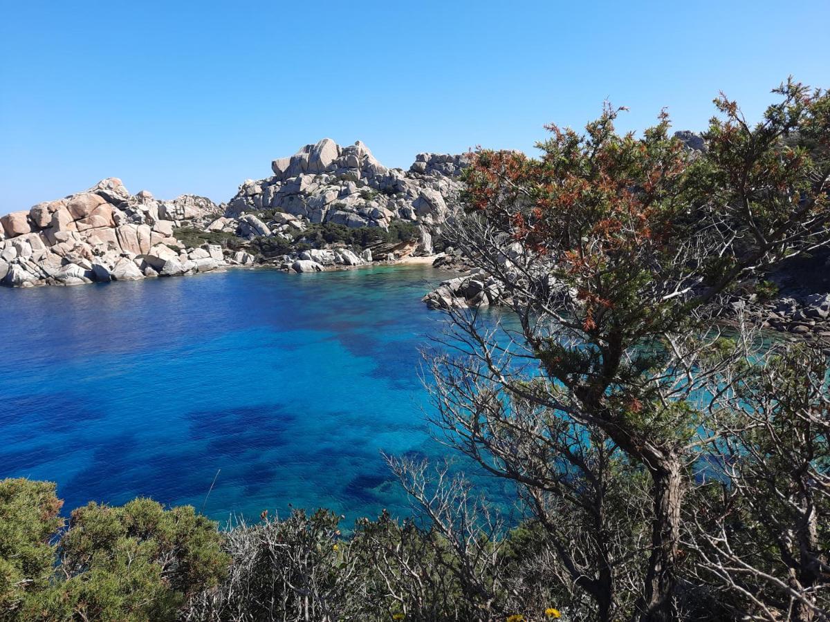 La Residenza Del Porto Daire Santa Teresa Gallura Dış mekan fotoğraf